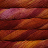 Lana Malabrigo Arroyo Flama 089