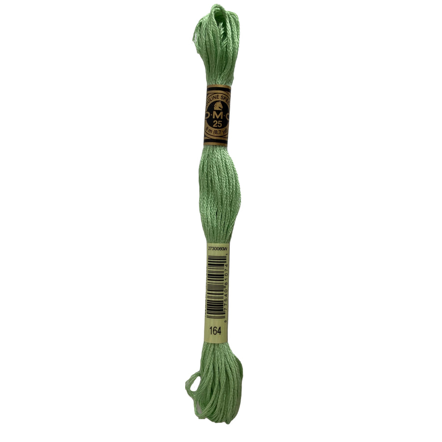 Hilo para Bordar DMC Mouliné Spécial - 164 - Verde Claro