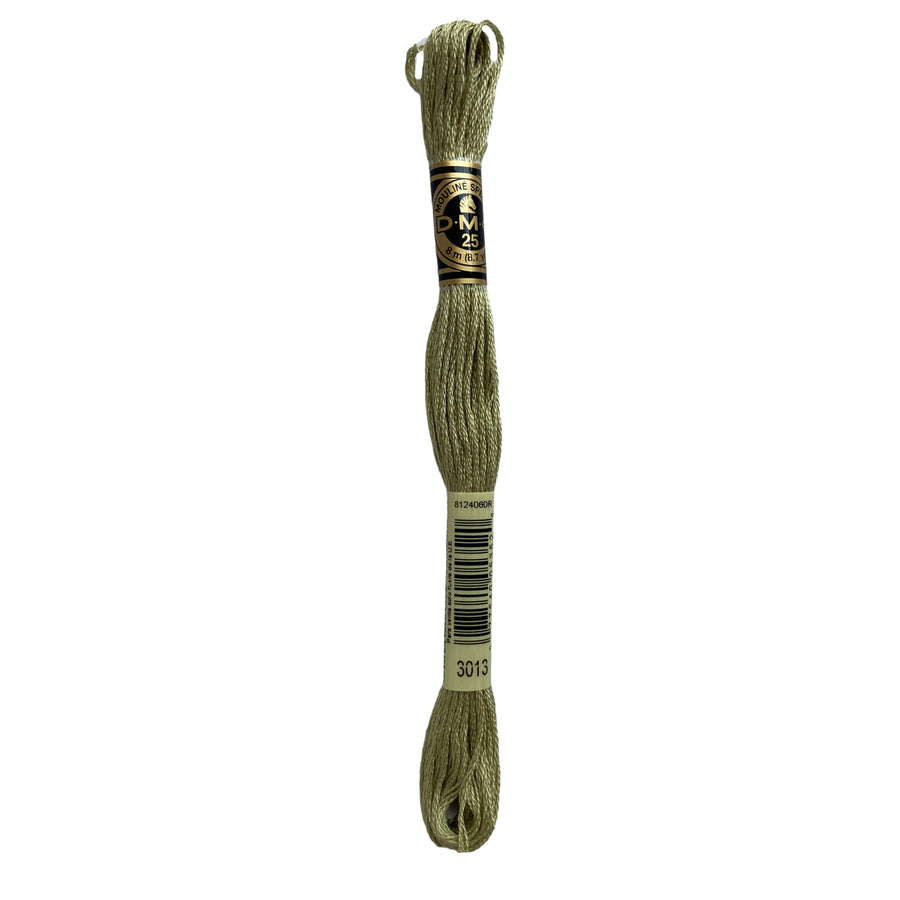 Hilo para Bordar DMC Mouliné Spécial - 3013 - Verde