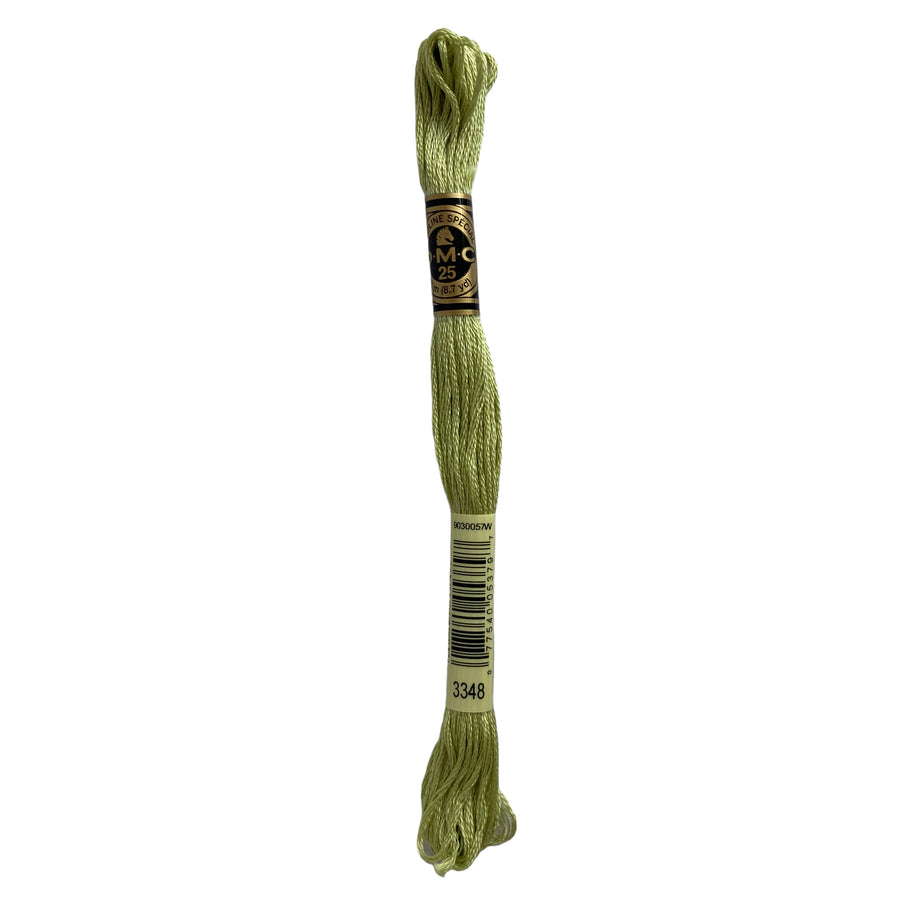 Hilo para Bordar DMC Mouliné Spécial - 3348 - Verde