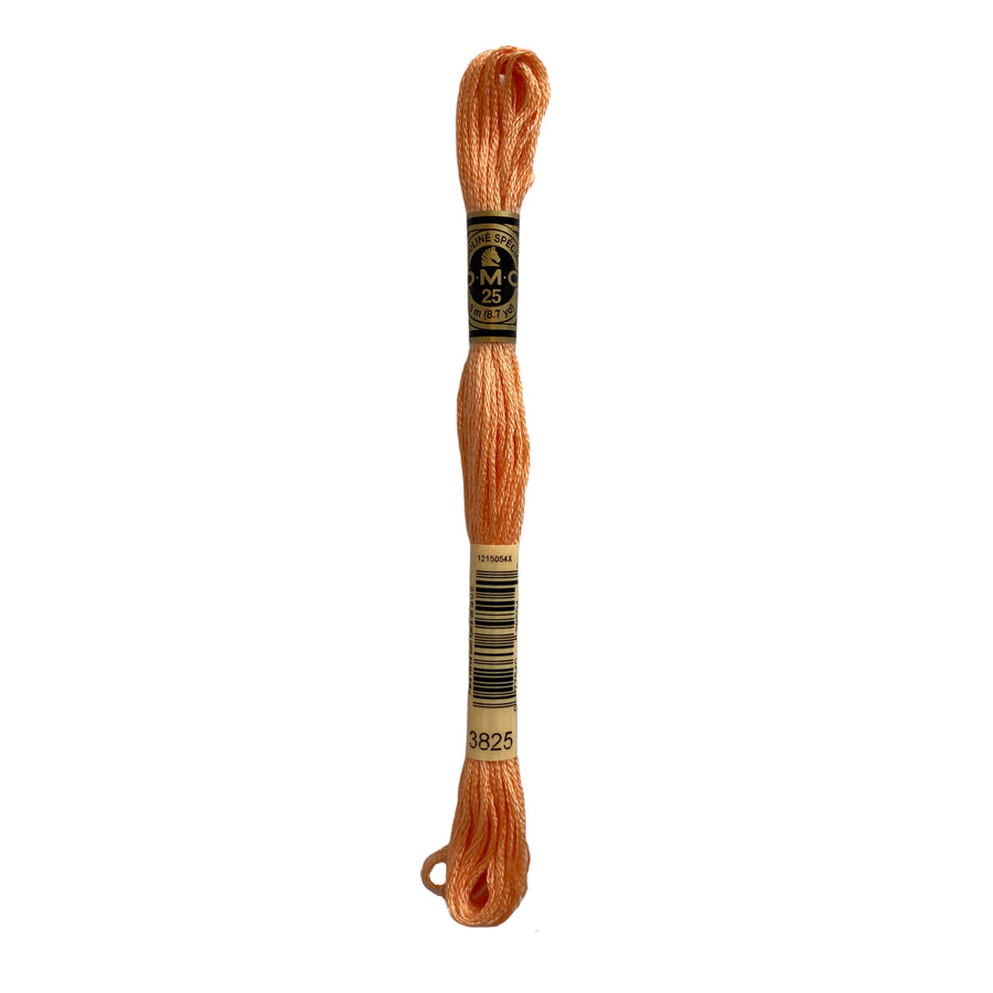 Hilo para Bordar DMC Mouliné Spécial - 3825 - Curuba