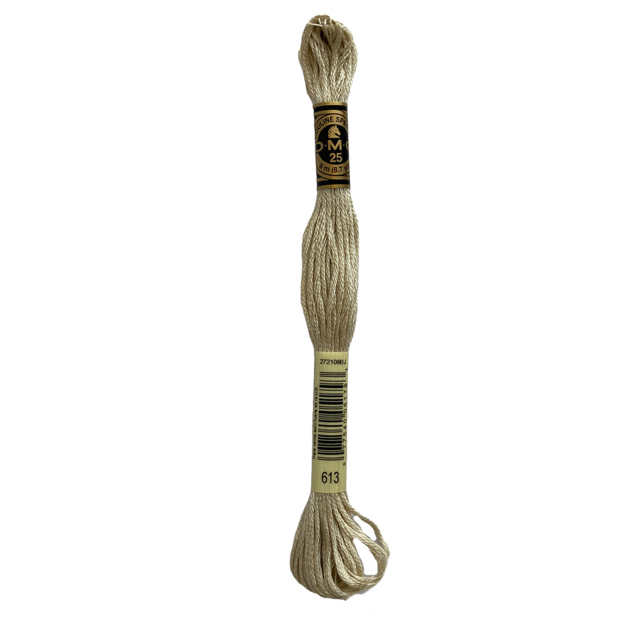 Hilo para Bordar DMC Mouliné Spécial - 613 - Beige