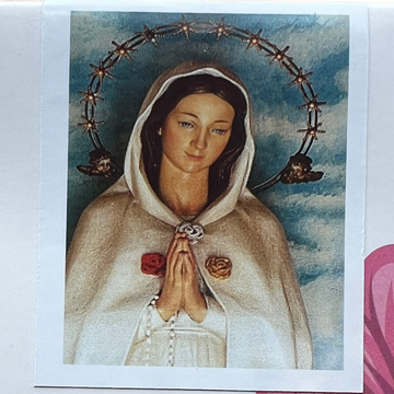 Kit de Pintura con Diamantes 5D - Diamond Paint - Rosa Mistica - 30 x 40 cms